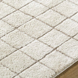 Cascade Checkered Ivory Area Rug