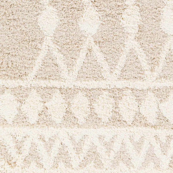 Sample Maso Shag Area Rug - Clearance