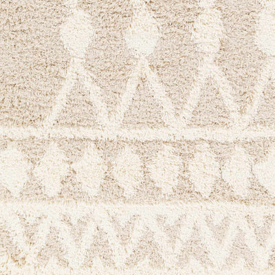 Sample Maso Shag Area Rug