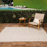 Outdoor patio scene with Epson Dark Beige Indoor Outdoor Area Rug, chair, and pool. Roomscene-Rectangle