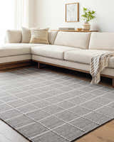 Sample Nissa Gray Checkered Wool Rug