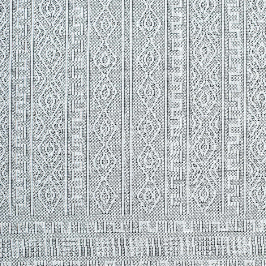 Sample Nuela Light Gray Area Rug - Clearance