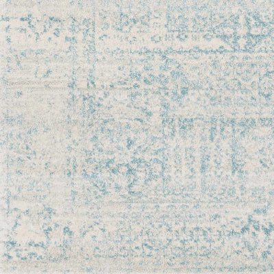 Sample Omega Area Rug