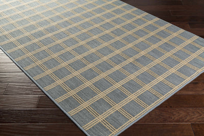 Custom Size Oretha Light Blue Checkered Rug