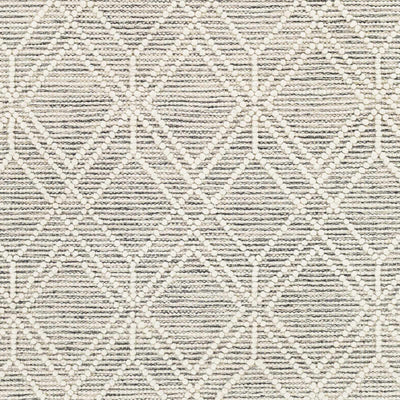 Sample Ossun Wool Area Rug