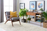 Living room scene with a charcoal and peach Pawhuska Area Rug, gray chair, wood console table, and plants. Roomscene-Rectangle