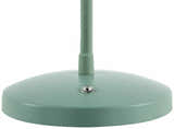 Pachiquita Sage Table Lamp