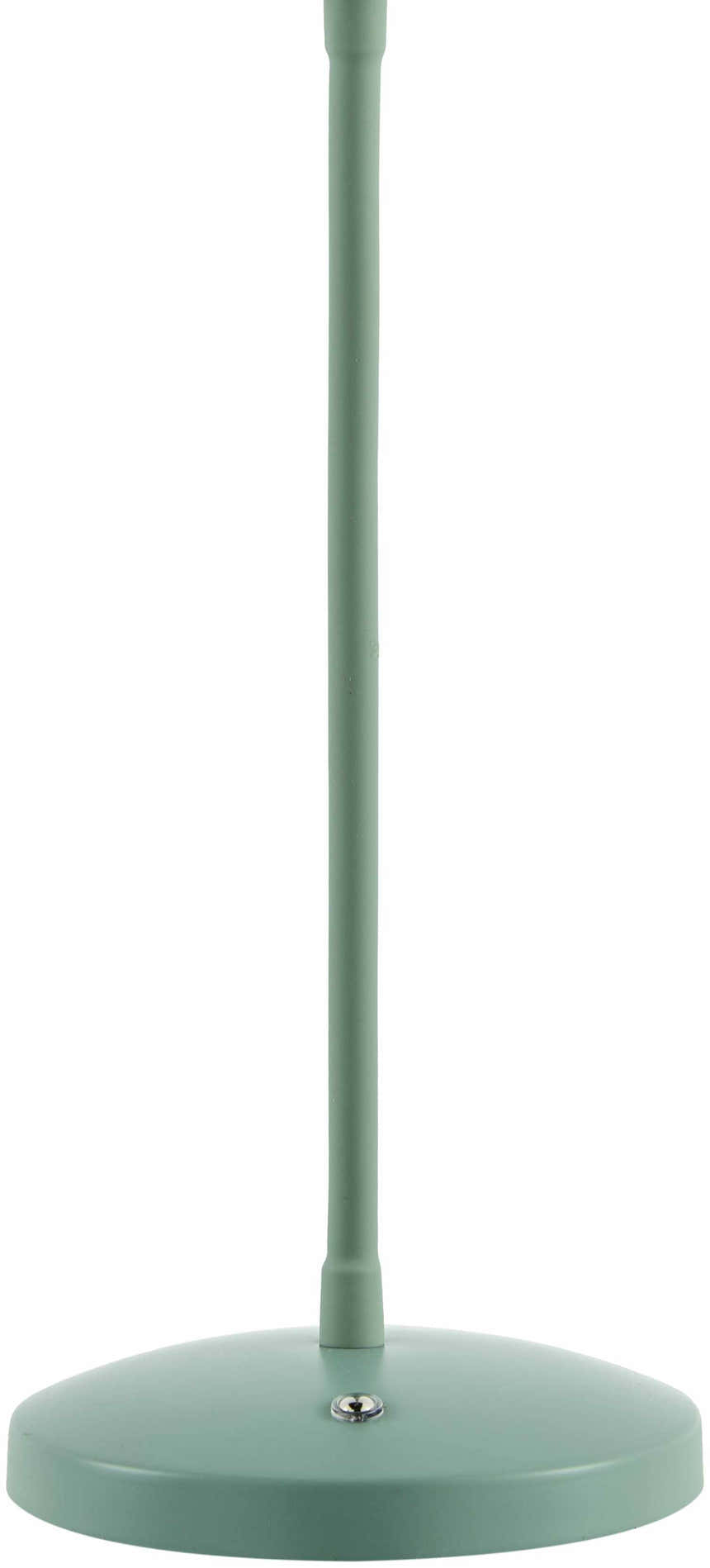 Pachiquita Sage Table Lamp