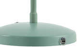 Pachiquita Sage Table Lamp