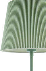Pachiquita Sage Table Lamp