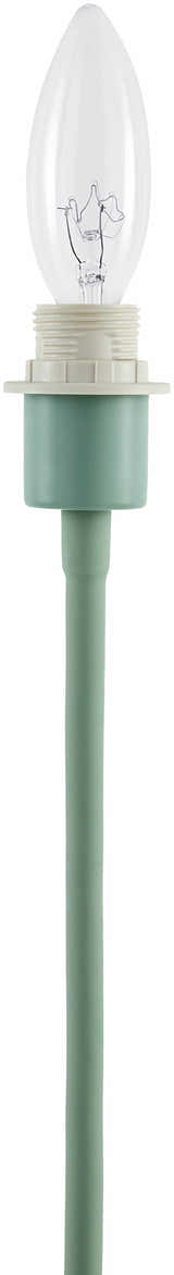Pachiquita Sage Table Lamp