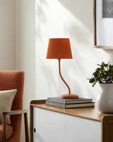 Pachiquita Table Lamp