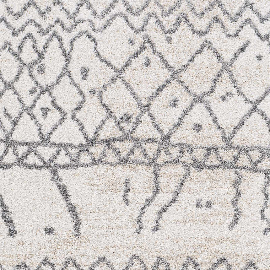Sample Pembroke High Pile Tribal Area Rug
