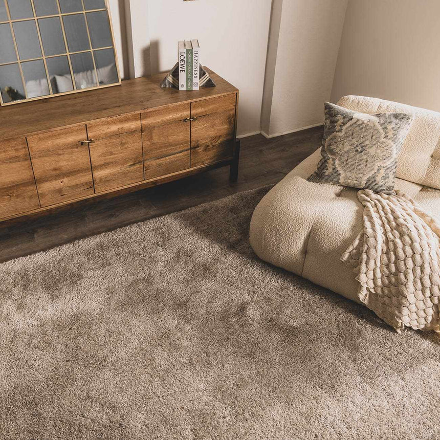 Sandbach Solid Light Gray Shag Rug