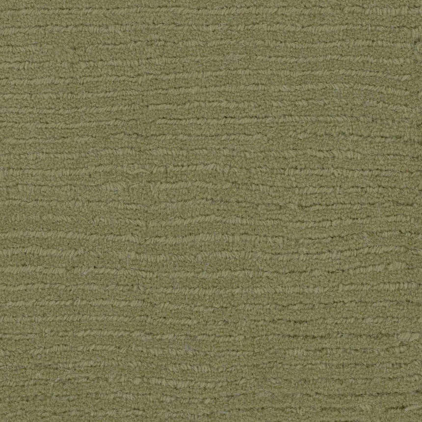Sample Brockton Solid Green Hand Loomed Wool Area Rug