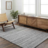 Sample Palti Charcoal Area Rug - Clearance