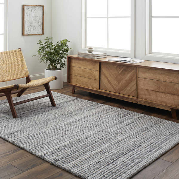 Sample Palti Charcoal Area Rug - Clearance