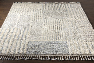 Plean Area Rug