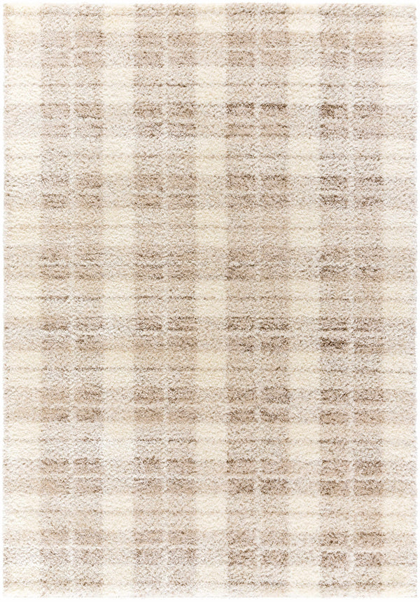 Anfisa Cream Luxe Shag Area Rug