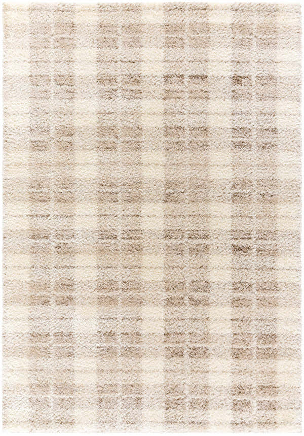 Sample Anfisa Cream Luxe Shag Area Rug