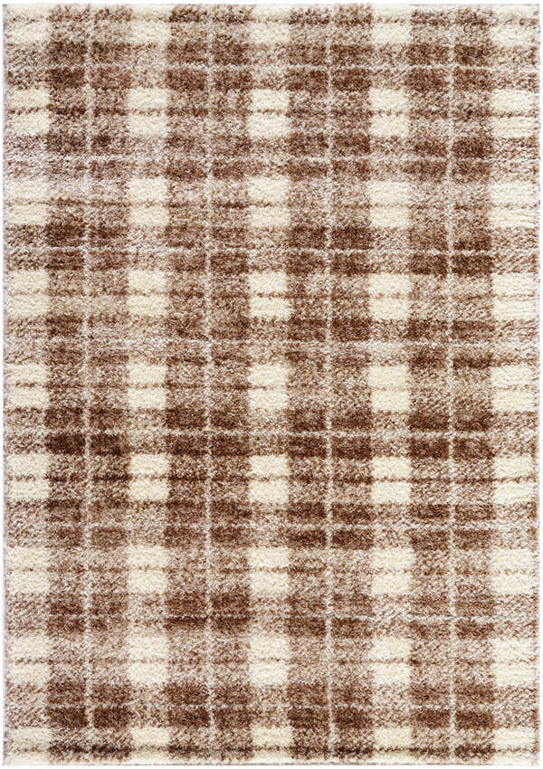 Sample Anfisa Beige Luxe Shag Area Rug