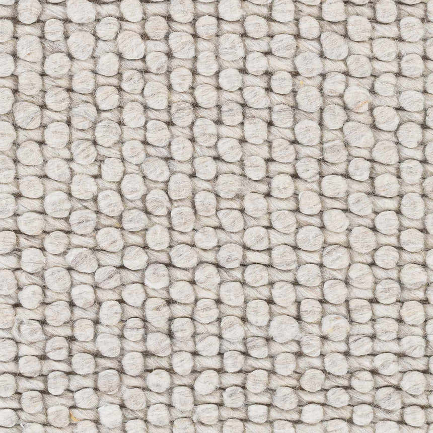 Sample Lucerne Ivory LNE-1002 Wool Rug