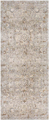 Detailed beige, blue, and brown floral pattern on the Pambujan Area Rug. Traditional style. Design-Runner-338
