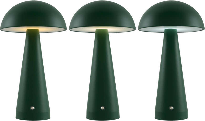 Pechbrunn Table Lamp