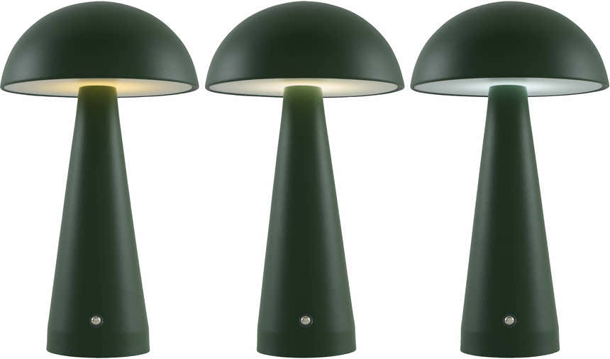 Pechbrunn Table Lamp