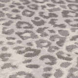 Texture