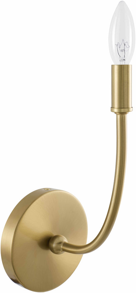Pecineaga Metallic - Brass Wall Sconce