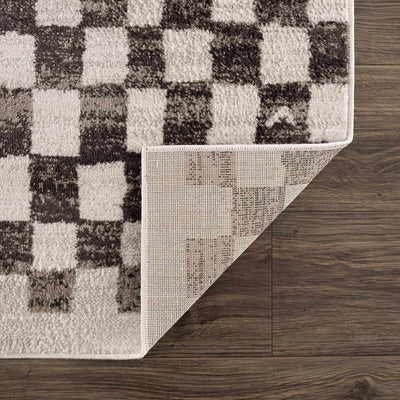 Benjy Cream & Charcoal Checkered Area Rug