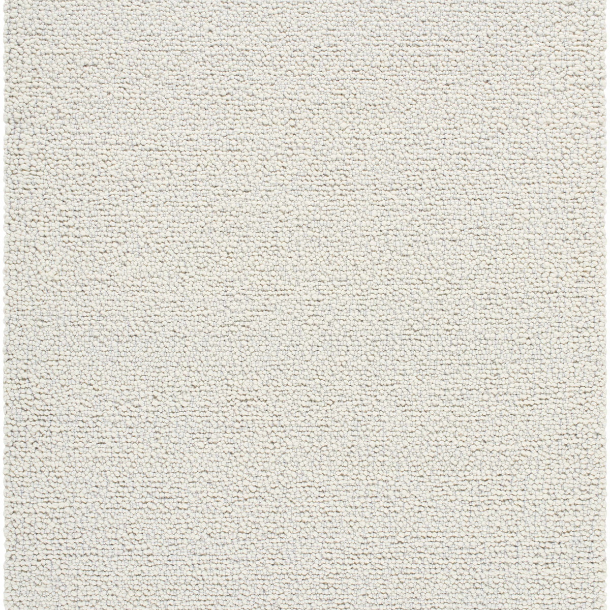 Precia Rug Priya Area Rug - Clearance – Boutique Rugs