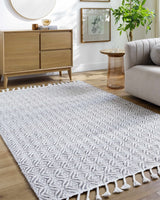 Anelia Medium Gray Area Rug