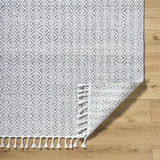 Anelia Medium Gray Area Rug