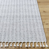 Anelia Medium Gray Area Rug