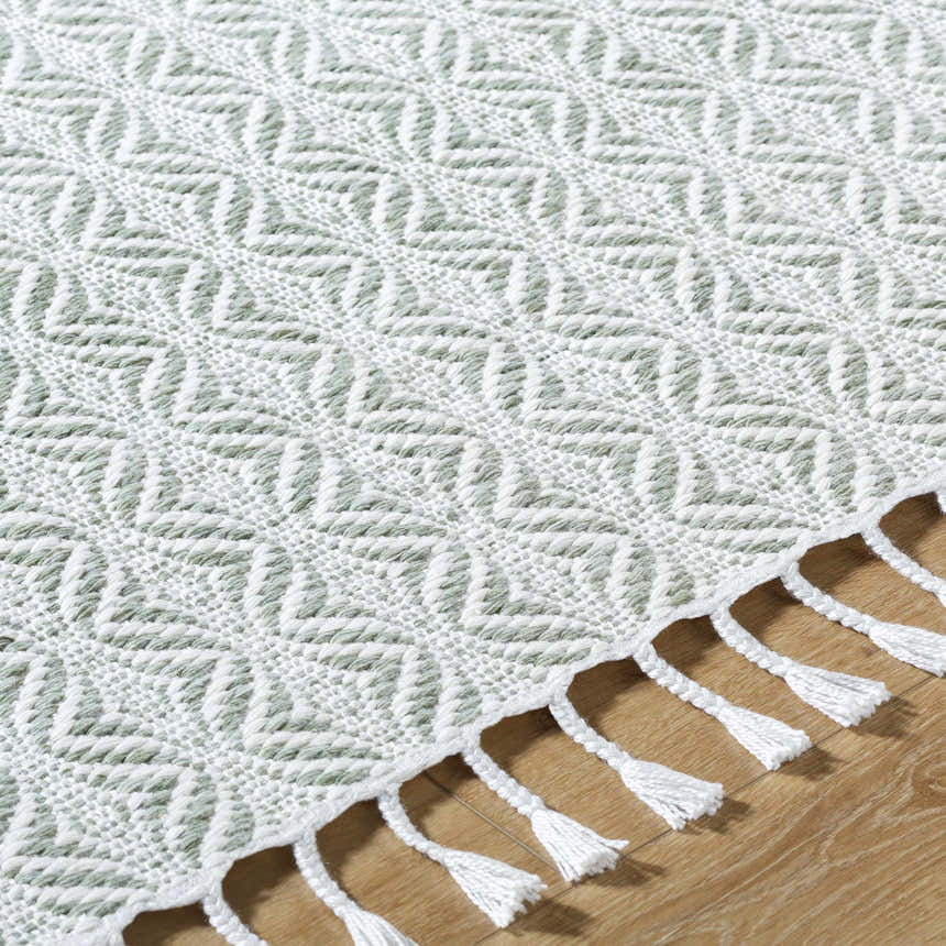 Close-up of the Anelia Sage Area Rug showing its woven diamond pattern and white tassels. Texture