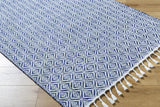 Anelia Indigo Area Rug