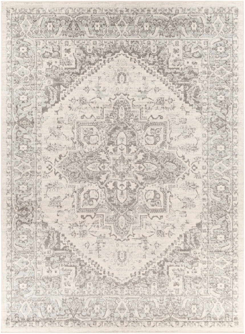 Livabliss Chester Machine Woven  Surya CHE-2312 Area Rug