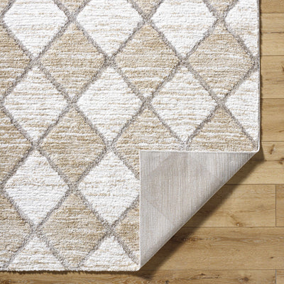 Aideen Cream Shag Area Rug