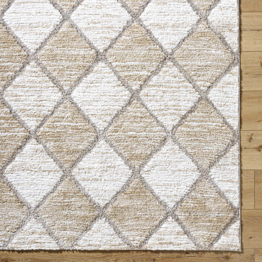 Sample Aideen Cream Shag Area Rug - Clearance