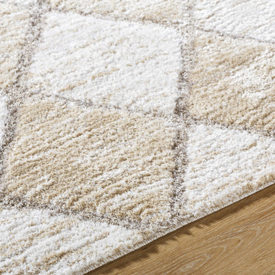 Aideen Cream Shag Area Rug