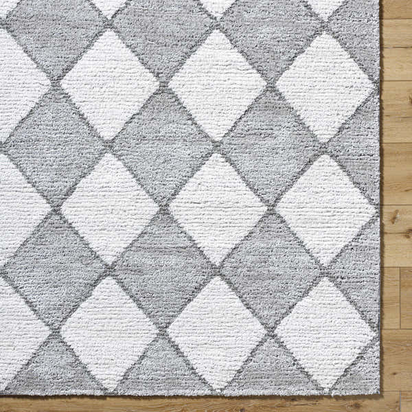Sample Aideen Gray Shag Area Rug - Clearance