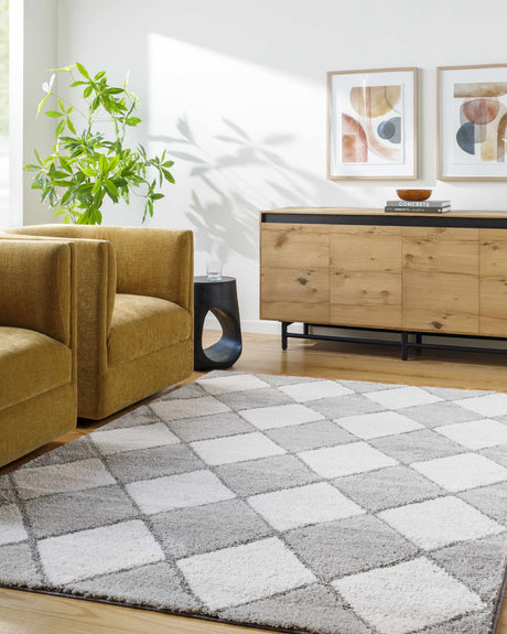 Aideen Gray Shag Area Rug - Clearance