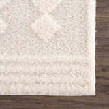 Sample Hija Cream High-Low Area Rug - Clearance