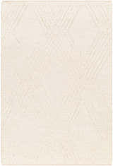 Sample Renz Area Rug - Clearance