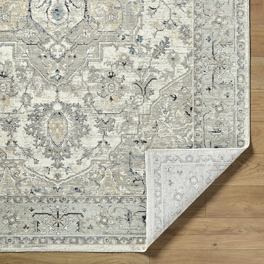 Ayzize Ivory Area Rug