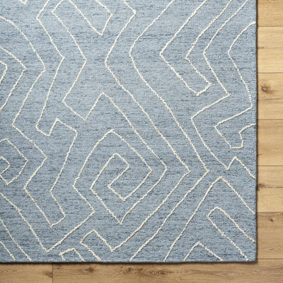 Sample Raffi Area Rug