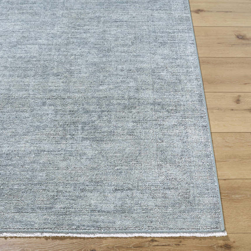 Close-up of the Livabliss x Galey Alix Maria Elena II rug. Soft cream and gray tones with a subtle vintage medallion pattern. Front