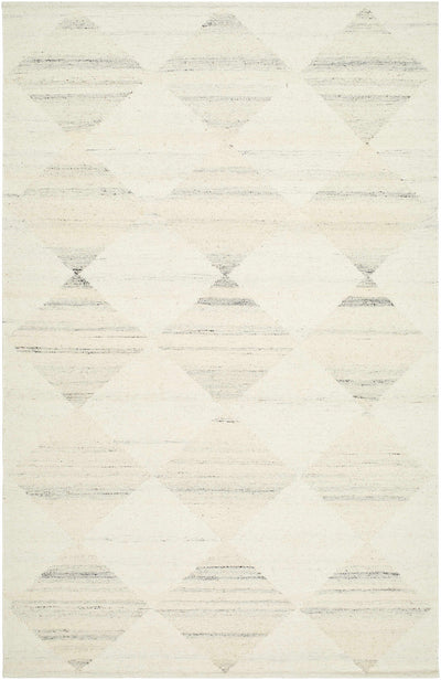 Sample Rakin Area Rug